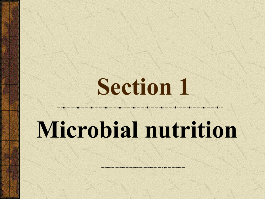 微生物-课件-05微生物的营养和培养基_第4页