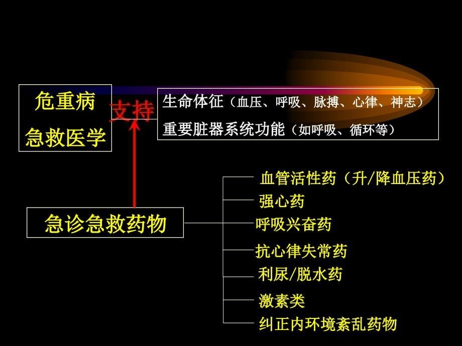 急诊科用药幻灯_第5页