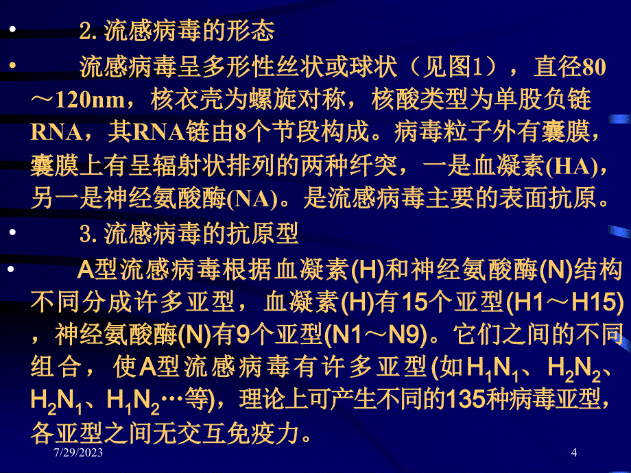 有关禽流感ppt_第4页