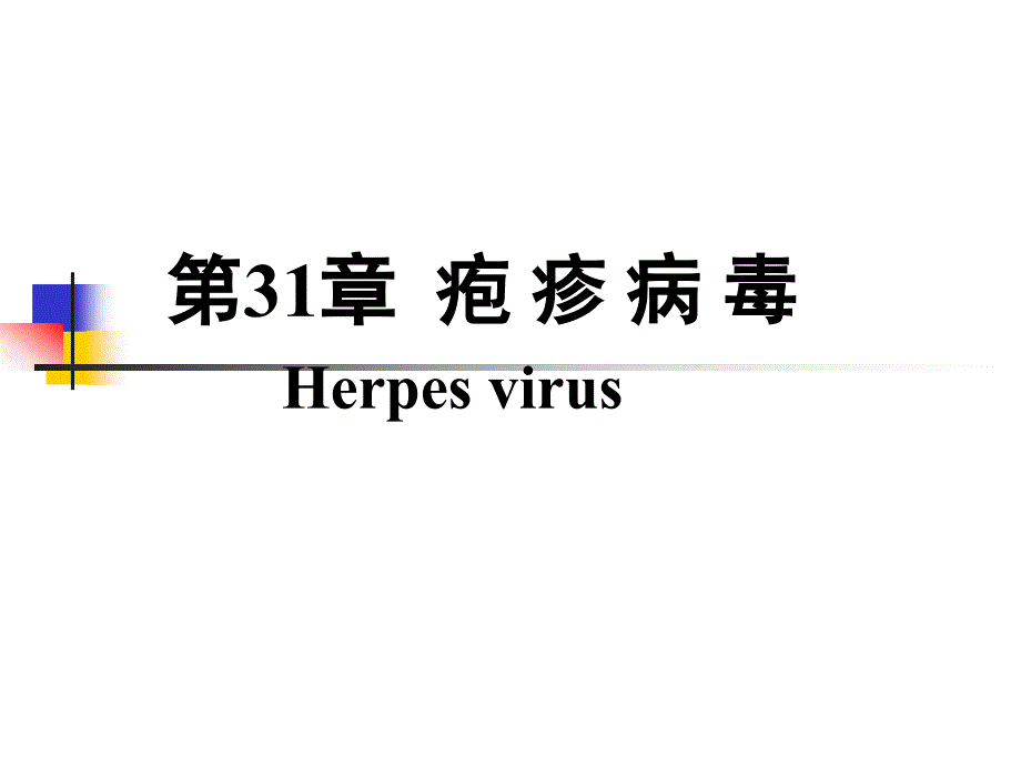 微31章疱疹病毒_第1页