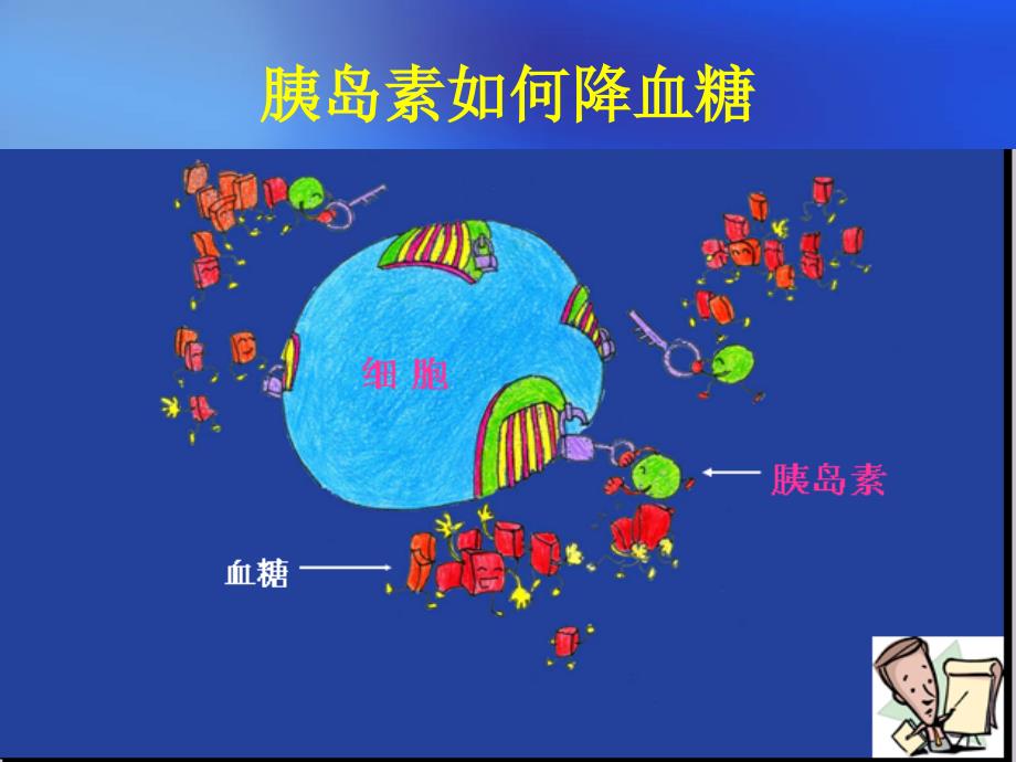 糖尿病周围神经病20101209系列_第4页