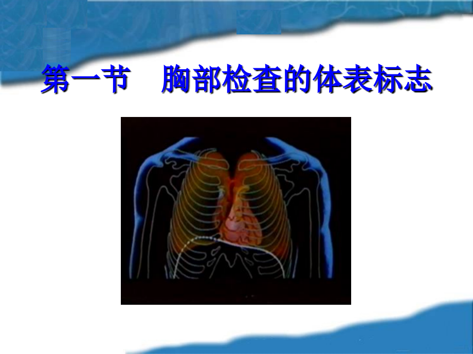 胸肺部检查-1-zc_第2页