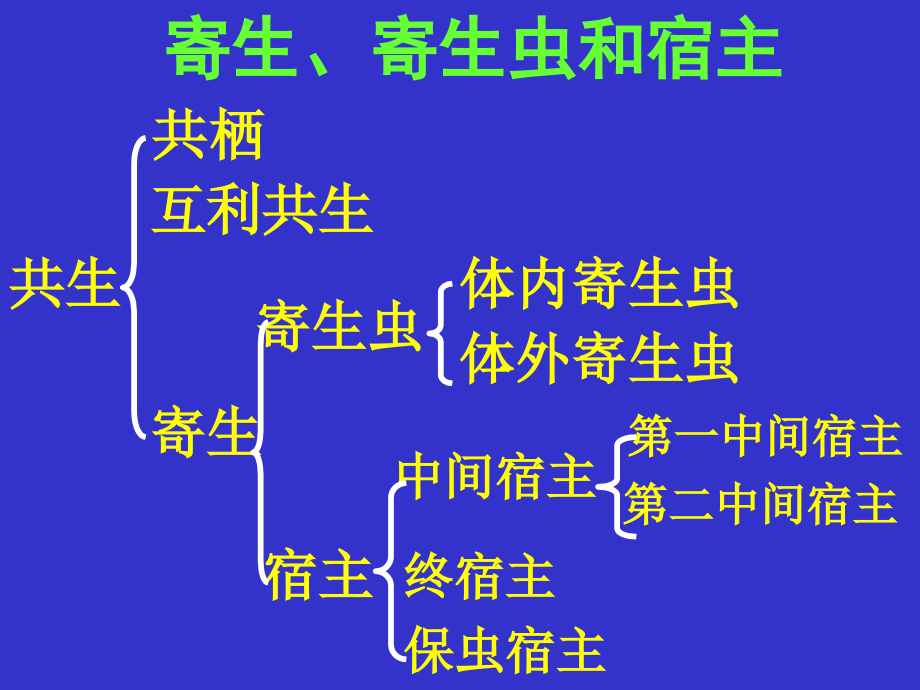 总论蛔鞭蛲钩虫_第2页