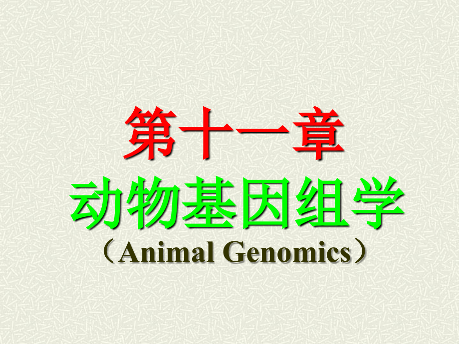 动物基因组学_第1页