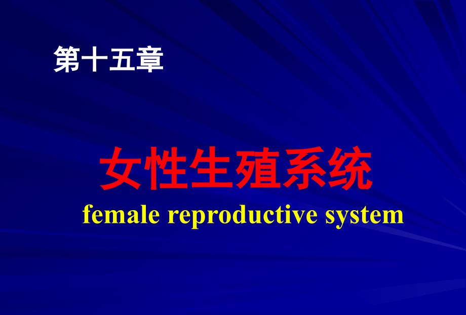 女性生殖系统_1_第1页