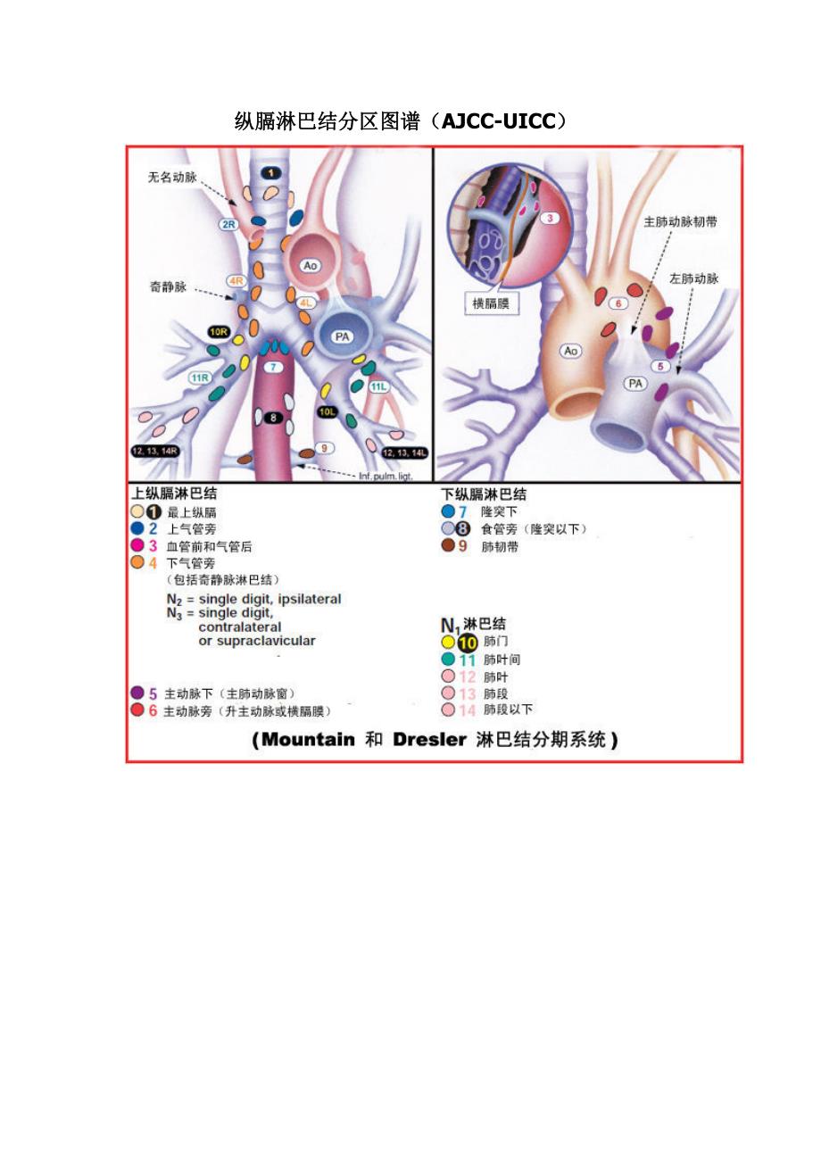 纵膈淋巴结分区  最新版图谱_第1页