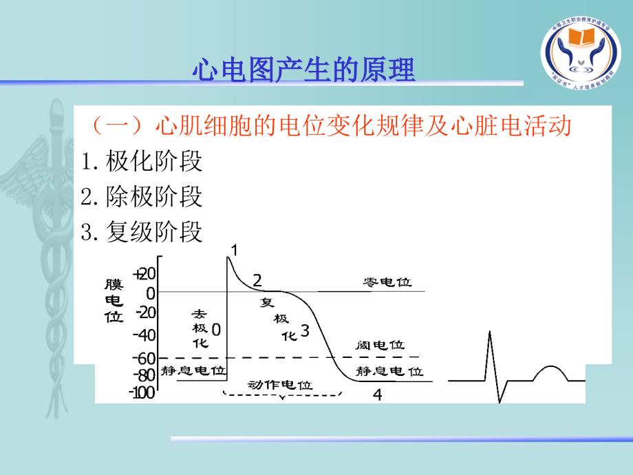 心电图检查 (2)_第4页