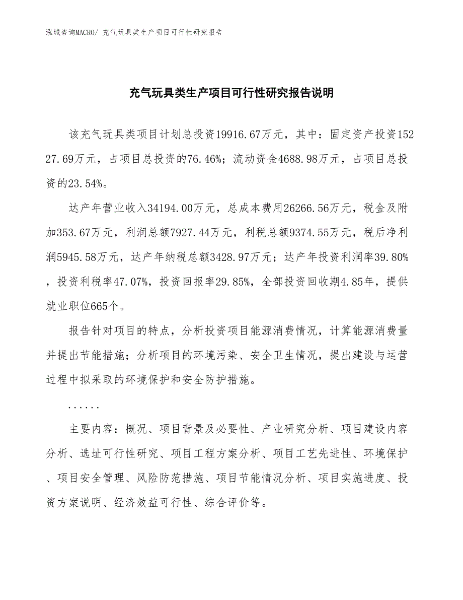 （规划设计）充气玩具类生产项目可行性研究报告_第2页