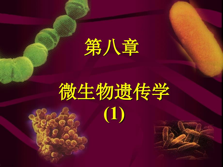 天津工业大学考研微生物课件_第1页
