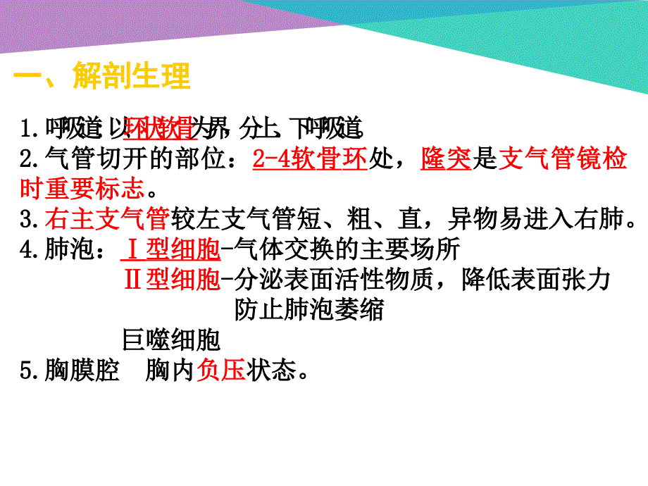 护考呼吸系统._第2页