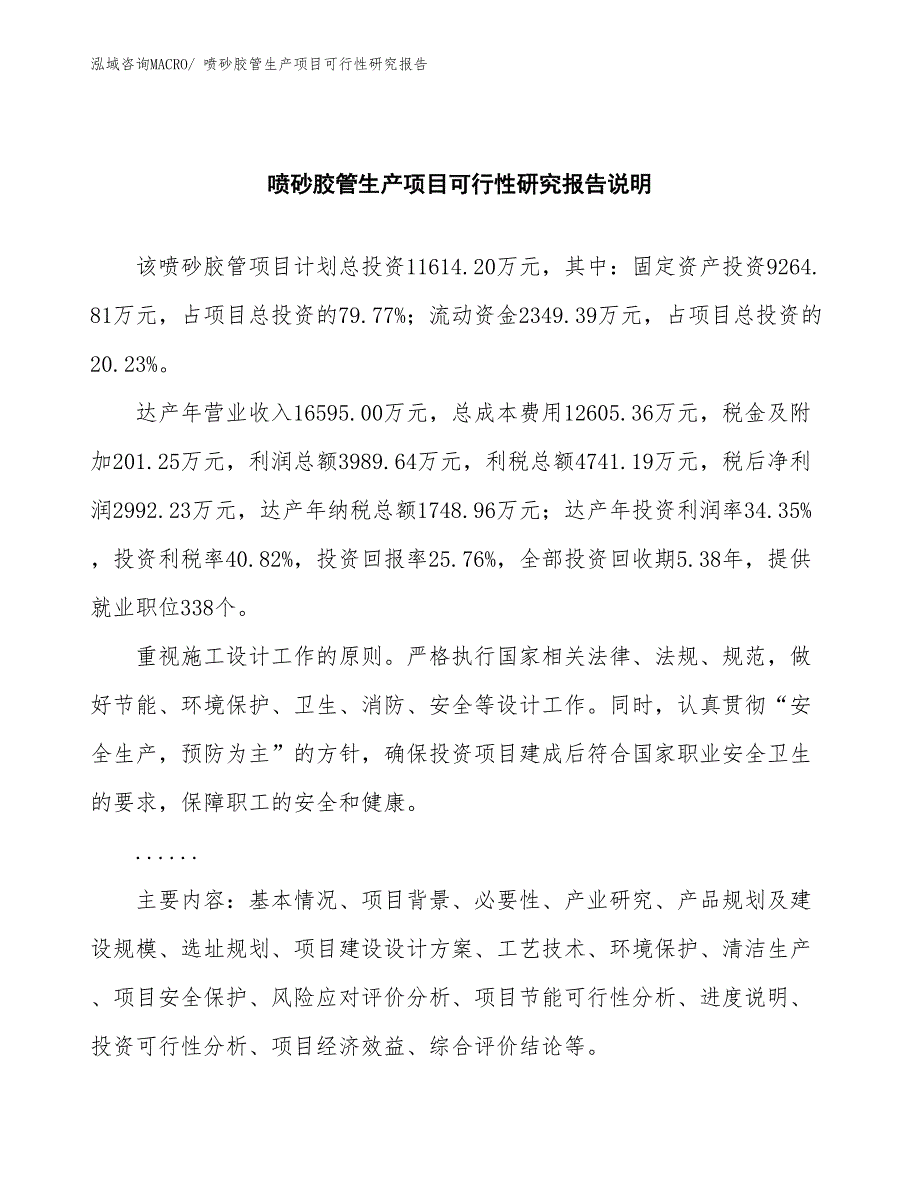 （汇报材料）喷砂胶管生产项目可行性研究报告_第2页