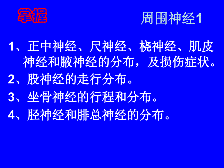 周围神经系统解剖_第3页