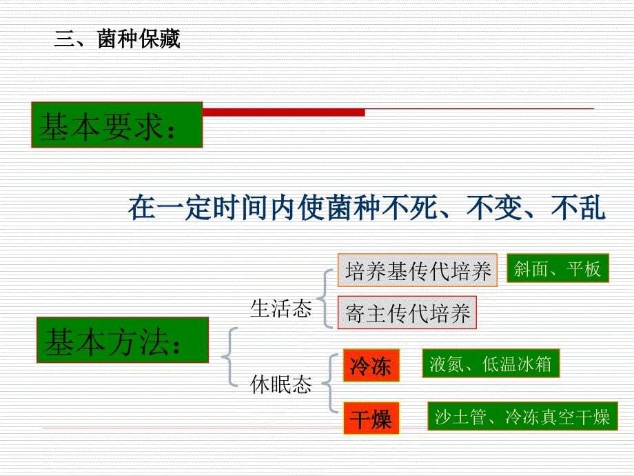 微生物遗传和变异yn_第5页