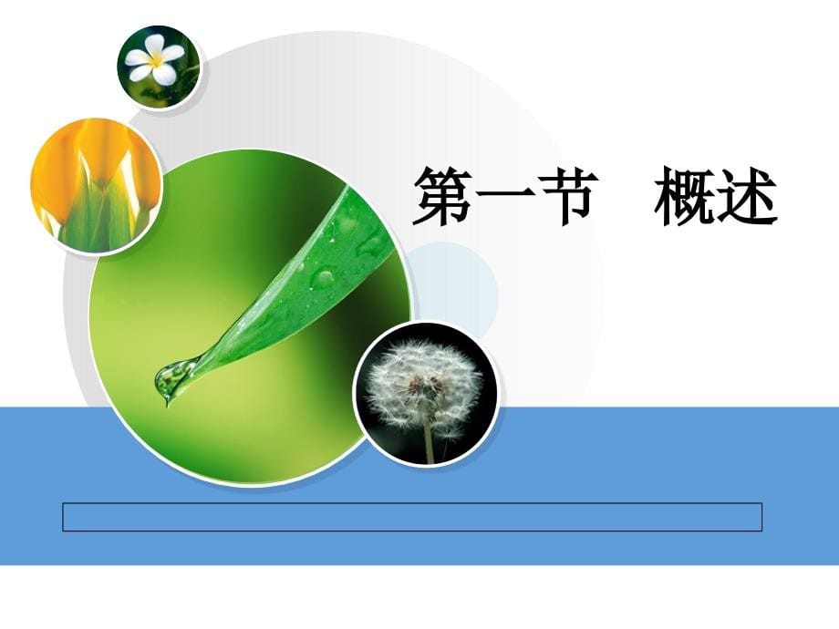 心搏骤停与心肺脑复苏(急危重症护理学)_第5页