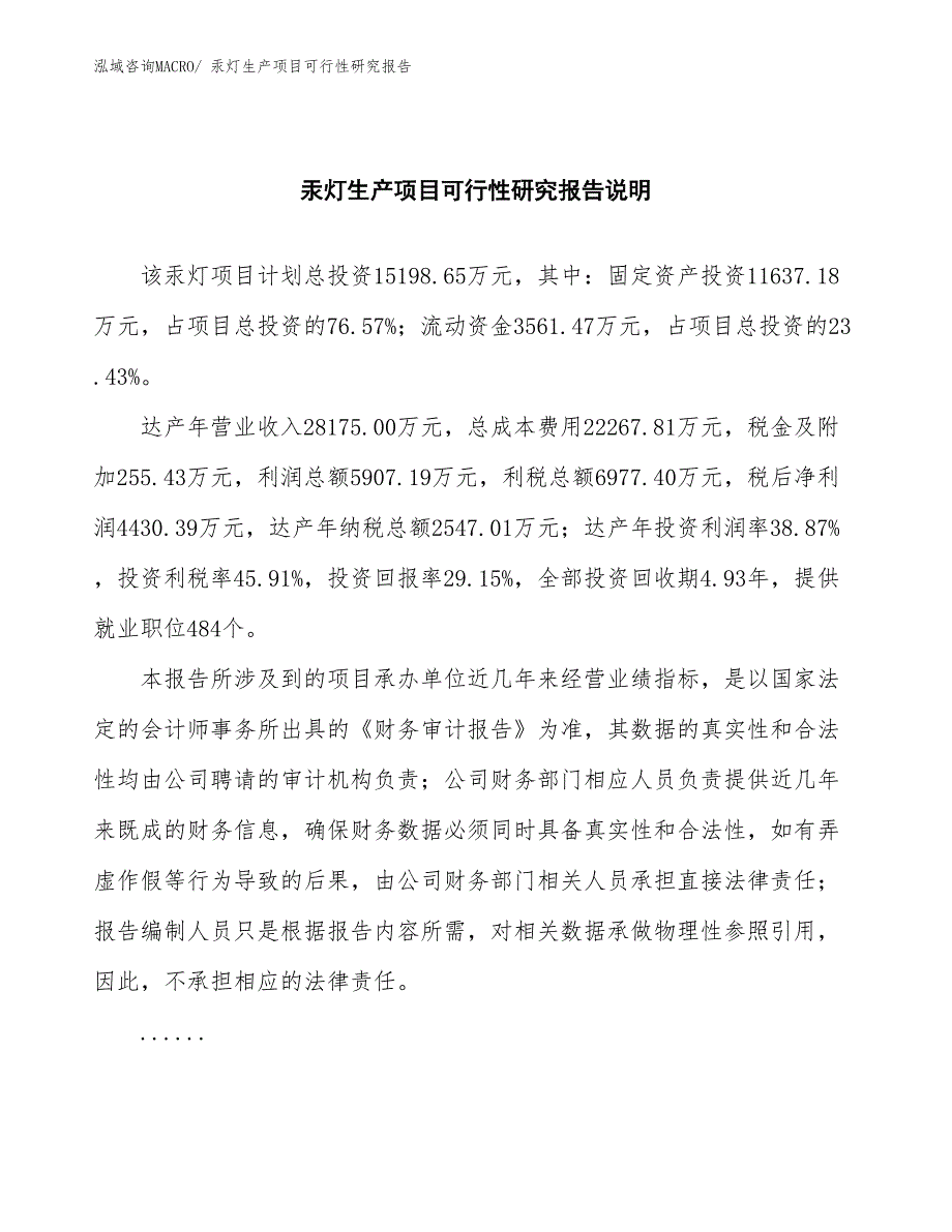 （规划设计）汞灯生产项目可行性研究报告_第2页