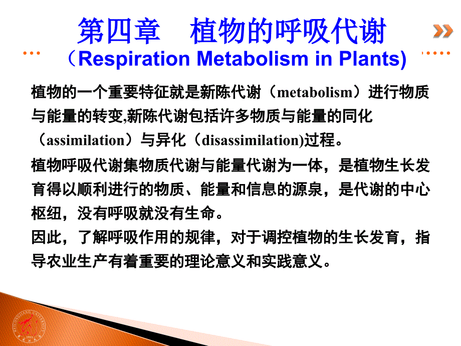 植物生理学经典课件04-植物的呼吸作用_第4页