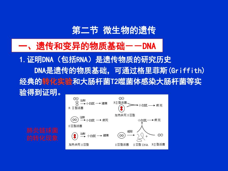 微生物的遗传和变异（1）_第4页