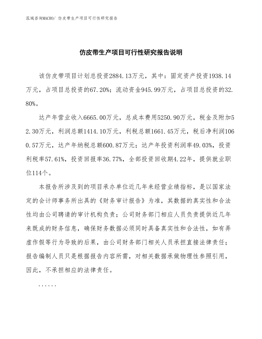 （汇报材料）仿皮带生产项目可行性研究报告_第2页