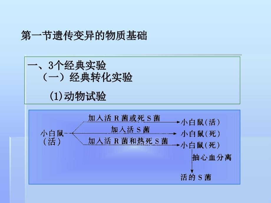 微生物的遗传变异和育种 (2)_第5页