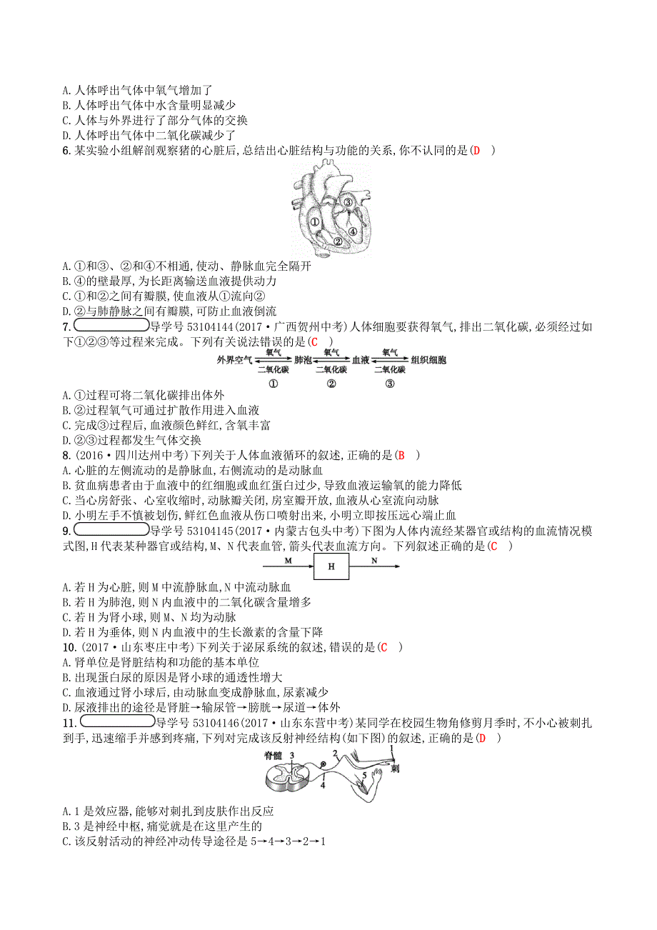 2018学年七年级生物下册期末测评(新版)北师大版含答案_第2页