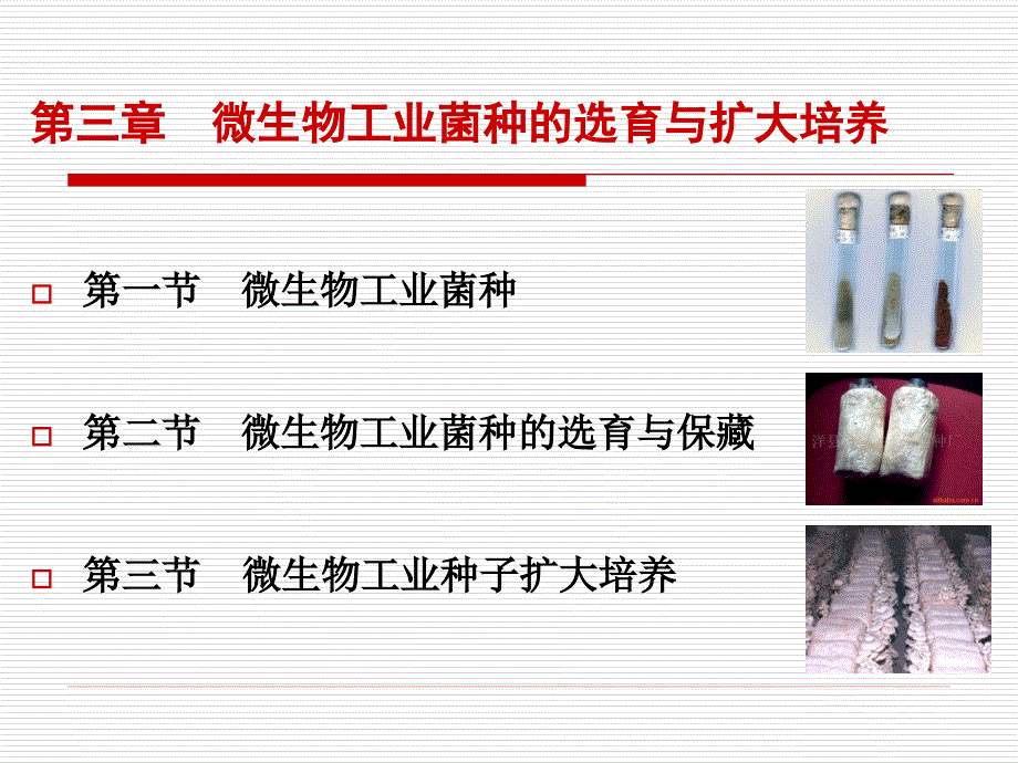 微生物工业菌种的选育与扩大培养_第2页