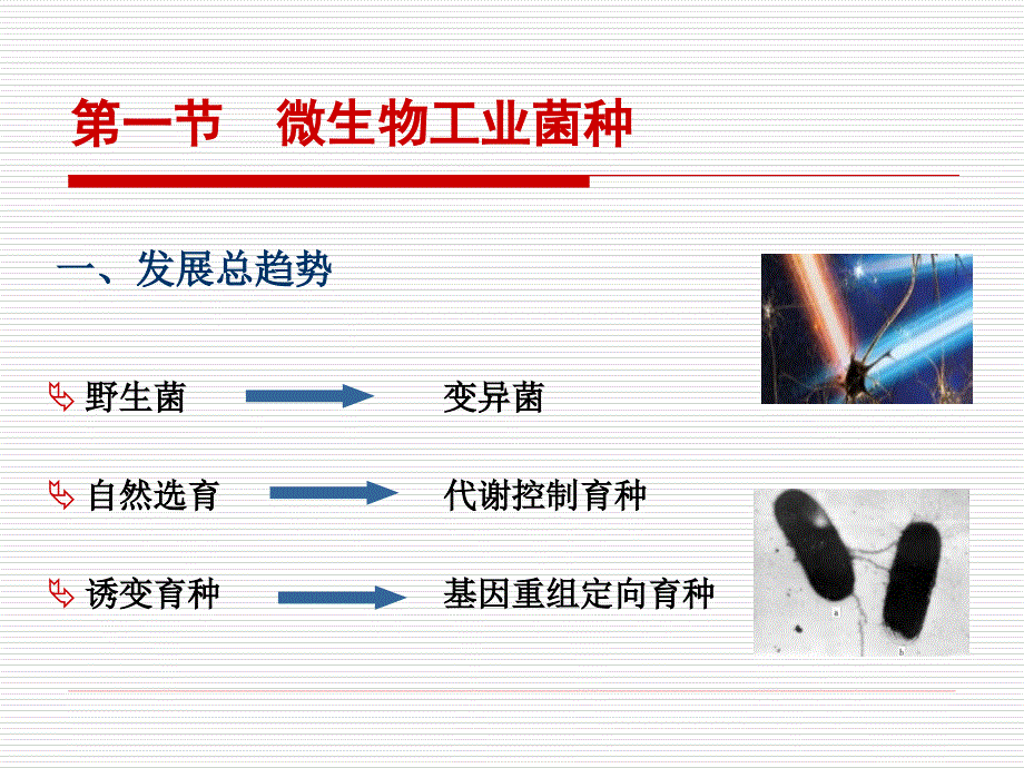 微生物工业菌种的选育与扩大培养_第3页