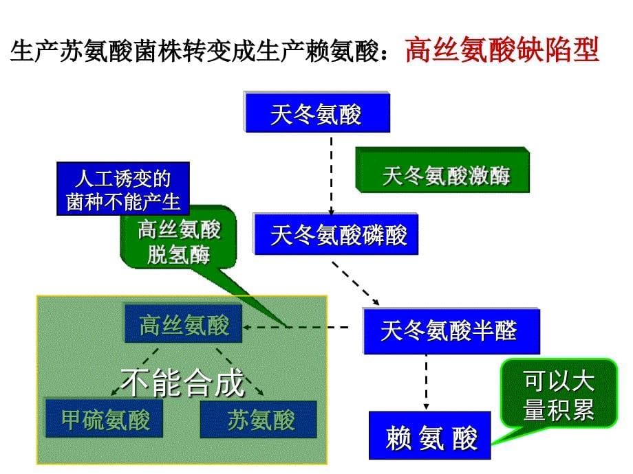 微生物工业菌种的选育与扩大培养_第5页