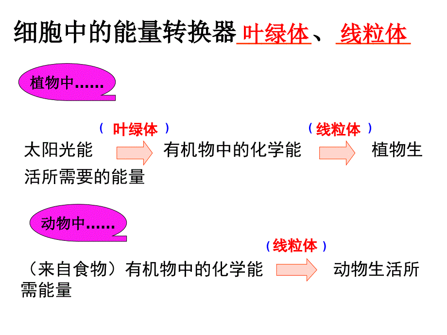 细胞的生活结构层次复习课件新_第3页