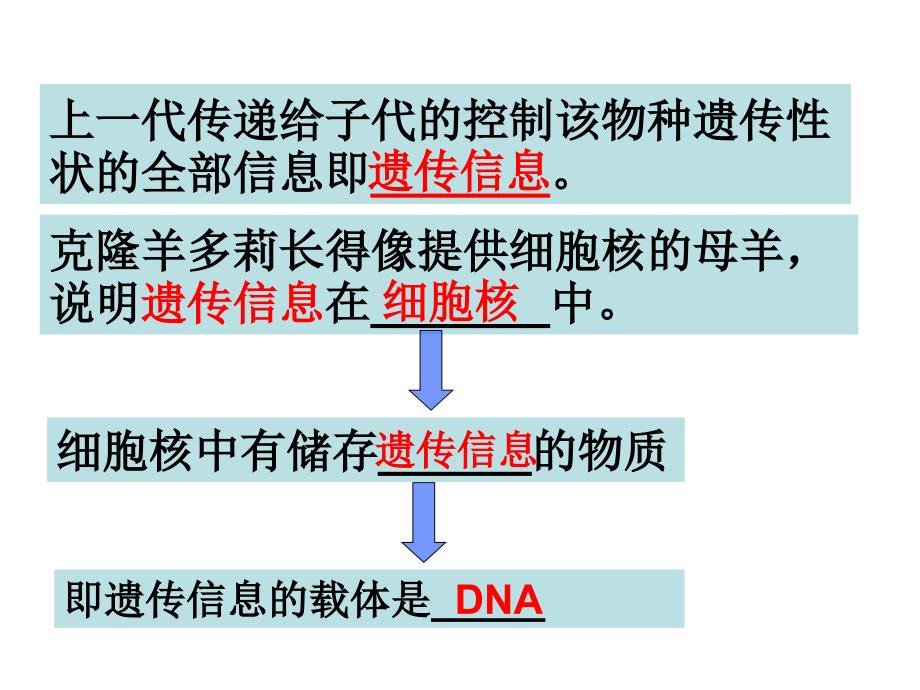 细胞的生活结构层次复习课件新_第4页