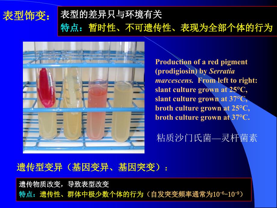 微生物的遗传变异和育种（简单介绍_第3页