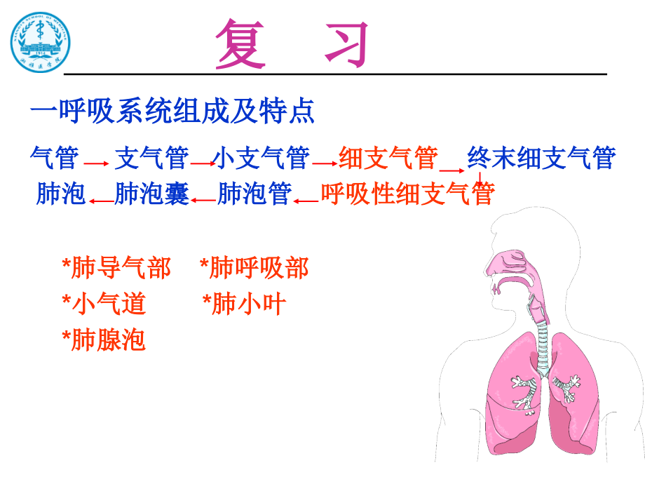 呼吸系统疾经典病_第2页