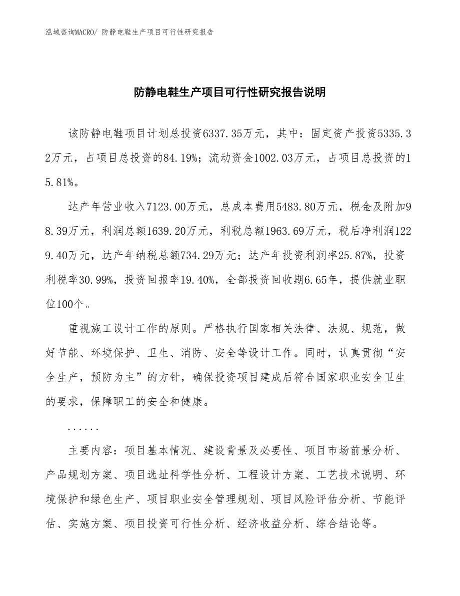 （汇报材料）防静电鞋生产项目可行性研究报告_第2页