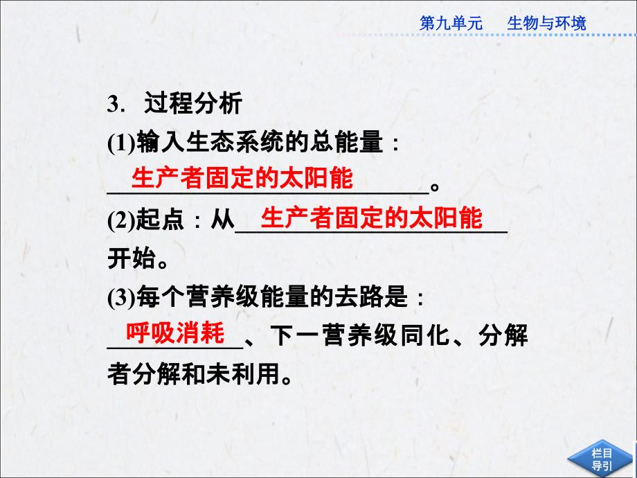 能量流动和物质循环、生态系统的稳态及其调节-课件(共77张ppt)_第3页