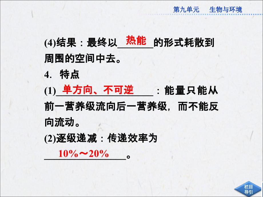 能量流动和物质循环、生态系统的稳态及其调节-课件(共77张ppt)_第4页