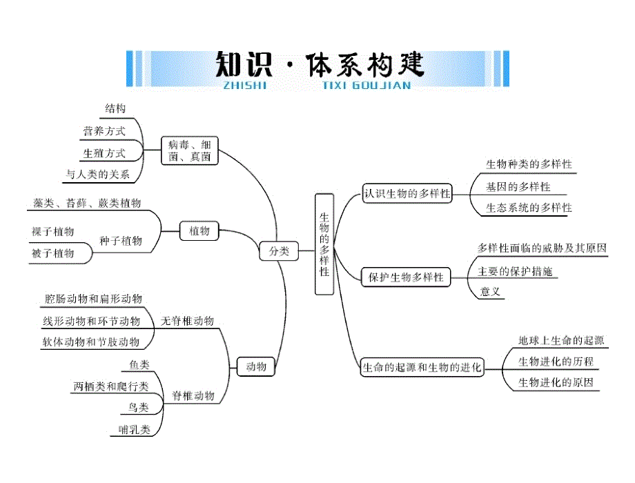 2018年生物中考考点梳理-第一轮--第七章-第一讲-生物的分类及各类生物的主要特征(35张)-(共35张ppt)_第2页