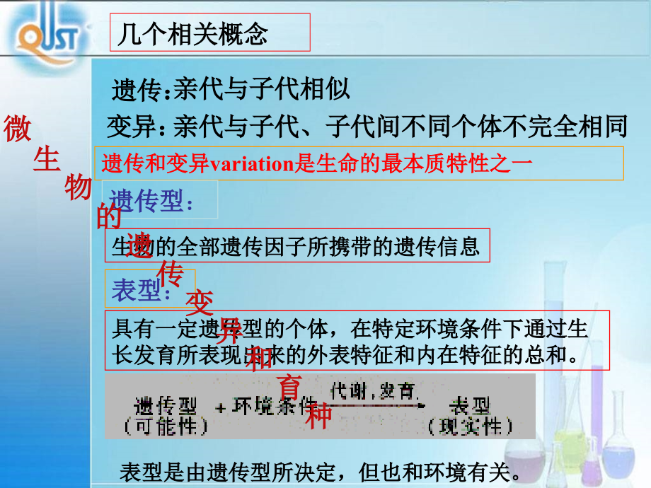 微生物第6章微生物的遗传变异和育种_第2页