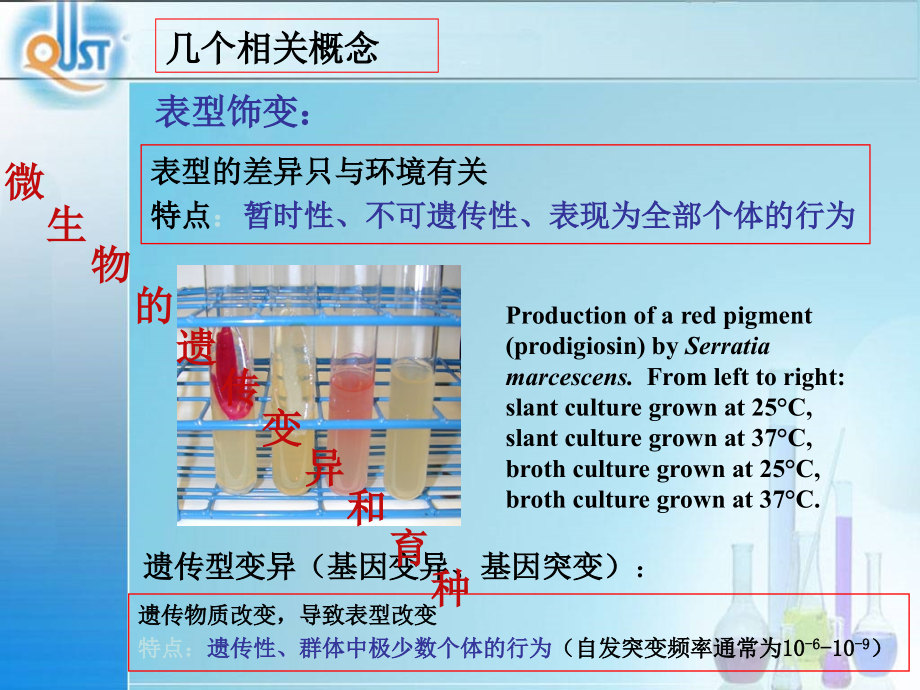 微生物第6章微生物的遗传变异和育种_第3页