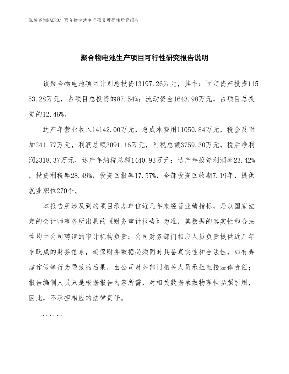 （汇报材料）聚合物电池生产项目可行性研究报告_第2页