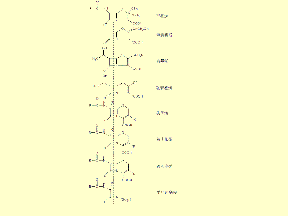 微生物药物学-第5章-β-内酰胺类抗生素_第2页