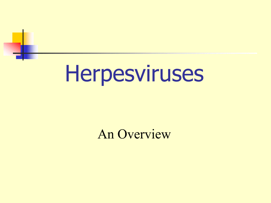 herpesviruses(水痘-带状疱疹病毒)_第1页