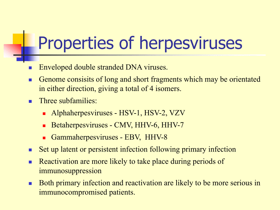 herpesviruses(水痘-带状疱疹病毒)_第2页