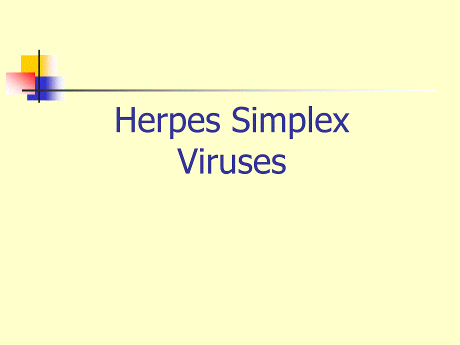 herpesviruses(水痘-带状疱疹病毒)_第4页