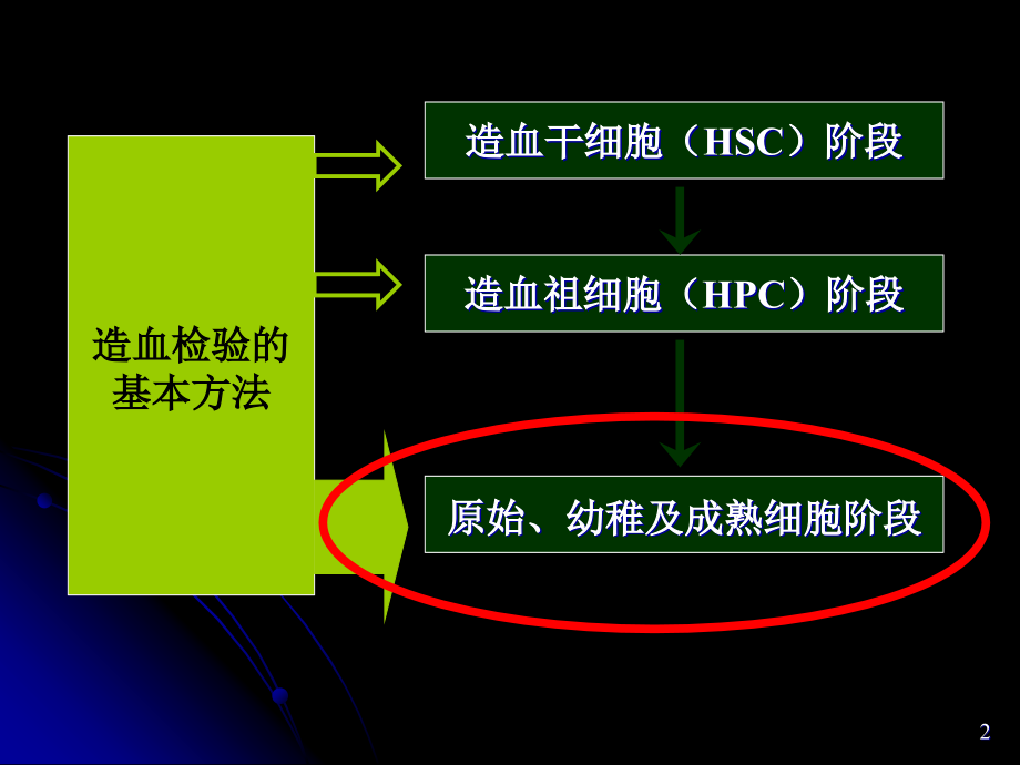 临床血液学检验-1-7-造血检验基本方法1血象和骨髓象检验_第2页