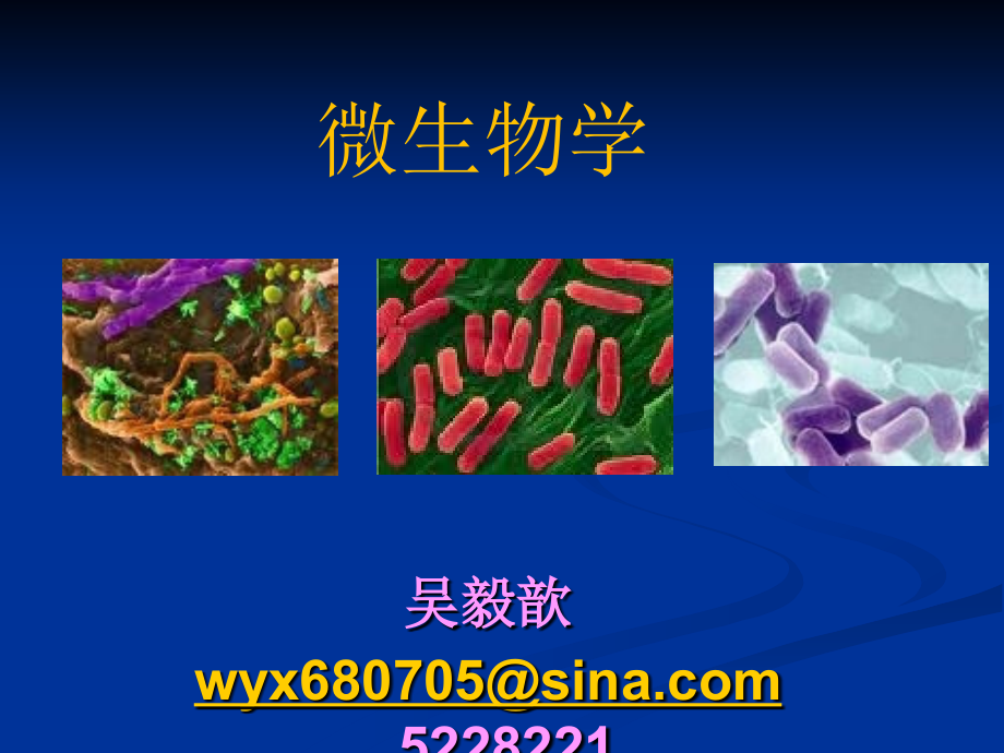 农业微生物学1-(8)_第1页