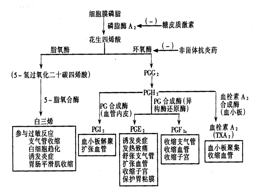 解热镇痛抗炎药_8_第3页