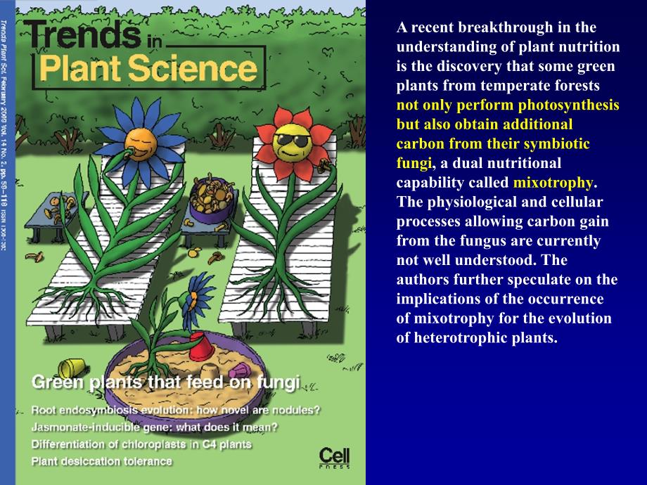 植物生理学—有机物运输1_第1页
