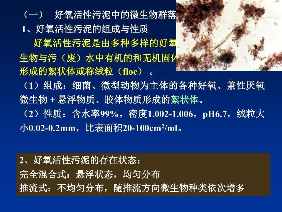 水污染控制与治理的生态工程及微生物学_第5页