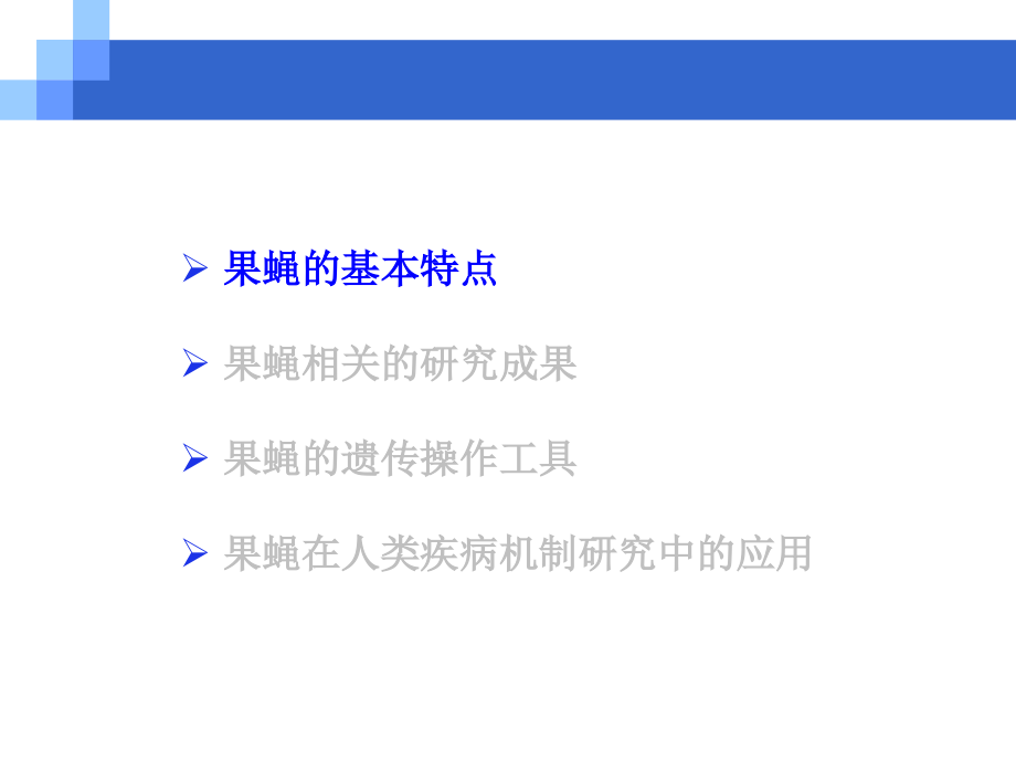 模式生物-果蝇-版ppt_第3页