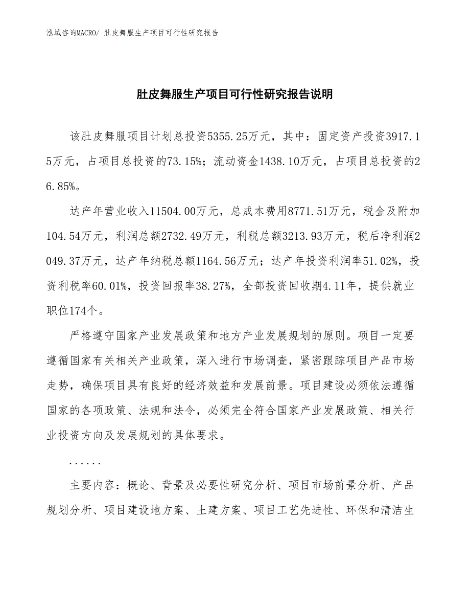 （规划设计）肚皮舞服生产项目可行性研究报告_第2页