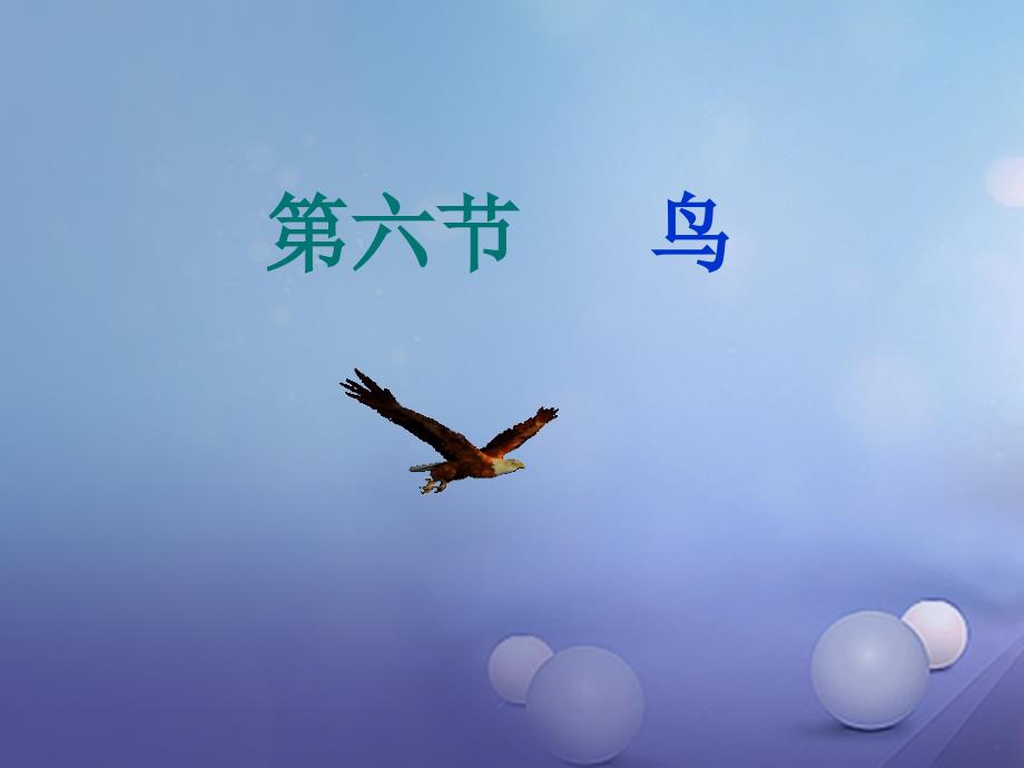 天津市八年级生物上册5.1.6鸟课件_第1页